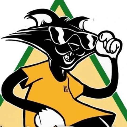 GATO PRETO TABACARIA